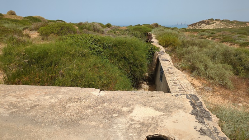 קובץ:2025-05-17T11 22 39.244755107718.jpg