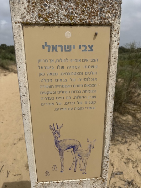 קובץ:2025-05-18T14 36 10.430149175508.jpg