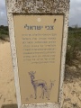 תמונה ממוזערת לגרסה מתאריך 11:14, 18 במאי 2025