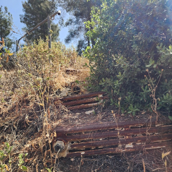 קובץ:2025-05-19T10 41 09.117560612074.jpg