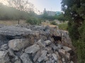 תמונה ממוזערת לגרסה מתאריך 15:22, 19 במאי 2025
