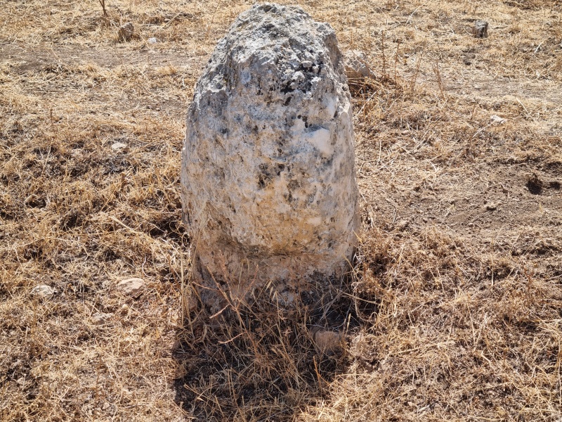 קובץ:2025-05-20T10 41 14.179497828205.jpg