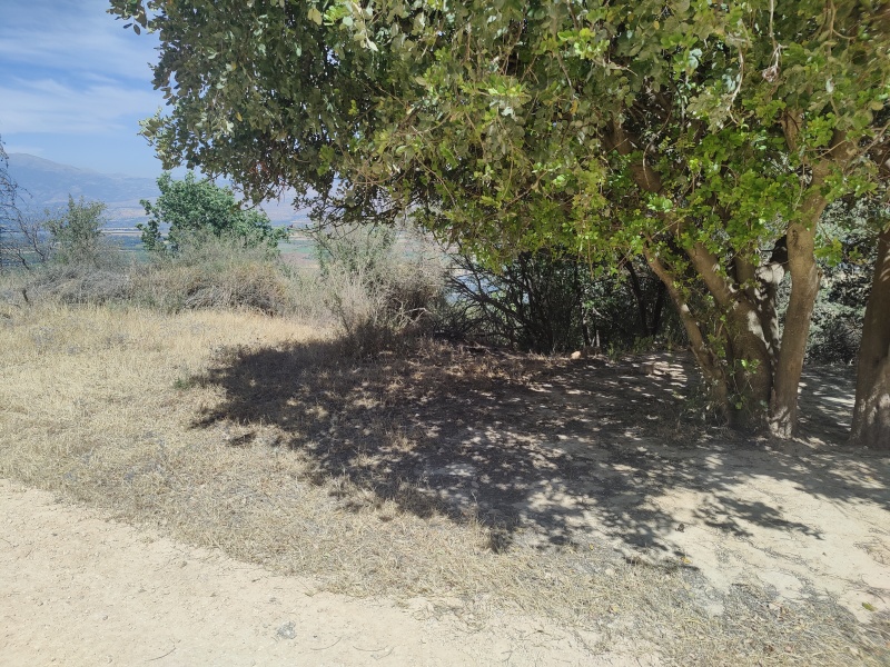 קובץ:2025-05-20T14 55 44.214588701817.jpg