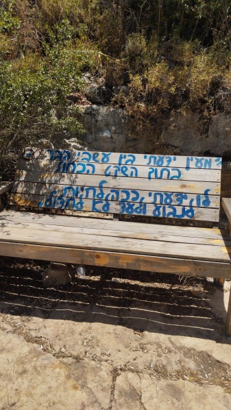 קובץ:2025-05-21T12 22 09.386521710769.jpg