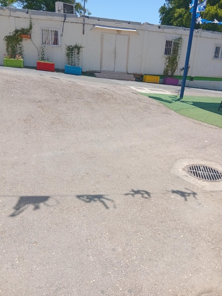 קובץ:2025-05-21T13 31 38.02279748660.jpg