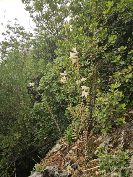 קובץ:2025-05-23T06 37 01.922159393542.jpg