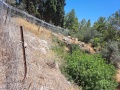 תמונה ממוזערת לגרסה מתאריך 09:09, 23 במאי 2025