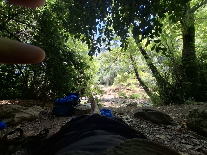 קובץ:2025-05-23T13 14 55.979234807453.jpg