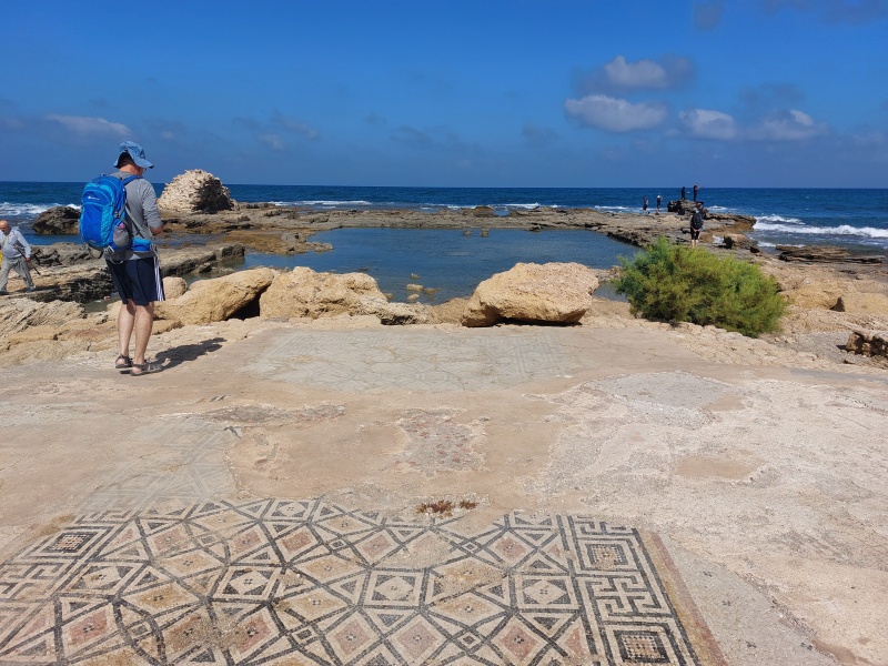 קובץ:2025-05-24T09 27 03.875268231388.jpg