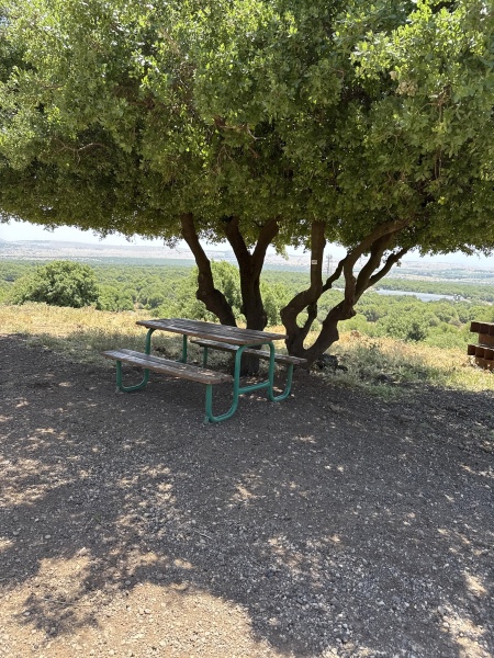 קובץ:2025-05-24T13 21 12.744172937575.jpg