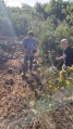 תמונה ממוזערת לגרסה מתאריך 14:19, 24 במאי 2025