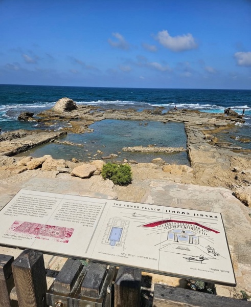 קובץ:2025-05-25T07 00 32.166178506131.jpg