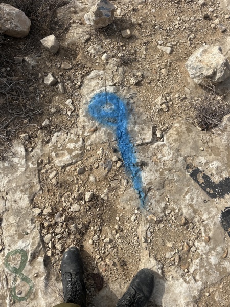 קובץ:2025-05-26T17 01 53.037764852021.jpg