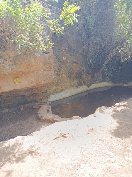 קובץ:2025-05-27T14 32 38.322962866427.jpg