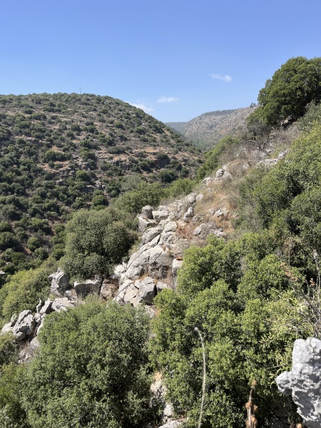 קובץ:2025-05-27T14 37 20.757861191302.jpg
