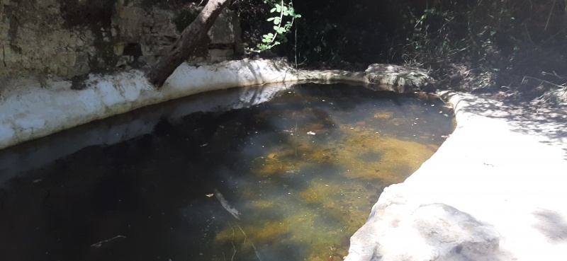 קובץ:2025-05-28T10 16 25.314483485868.jpg