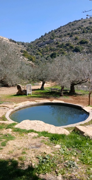 קובץ:2025-05-28T23 23 56.691170304745.jpg