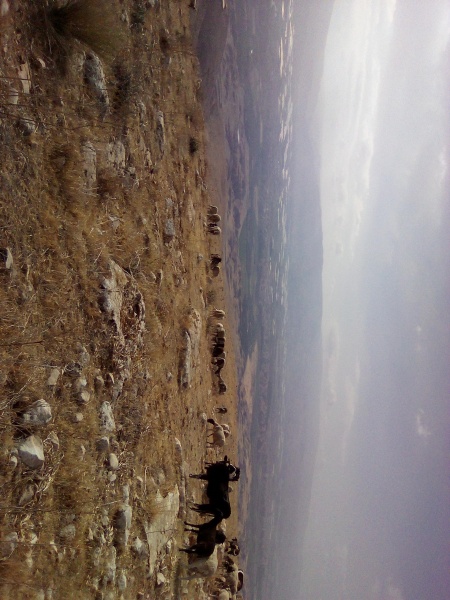 קובץ:2025-05-29T08 04 24.60532051625.jpg