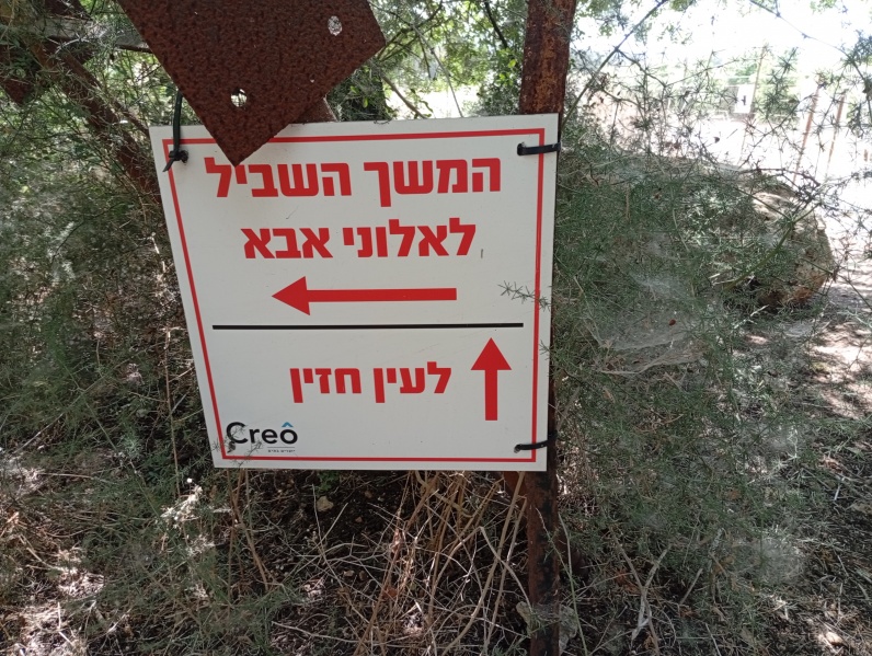 קובץ:2025-05-29T10 23 11.294613370675.jpg