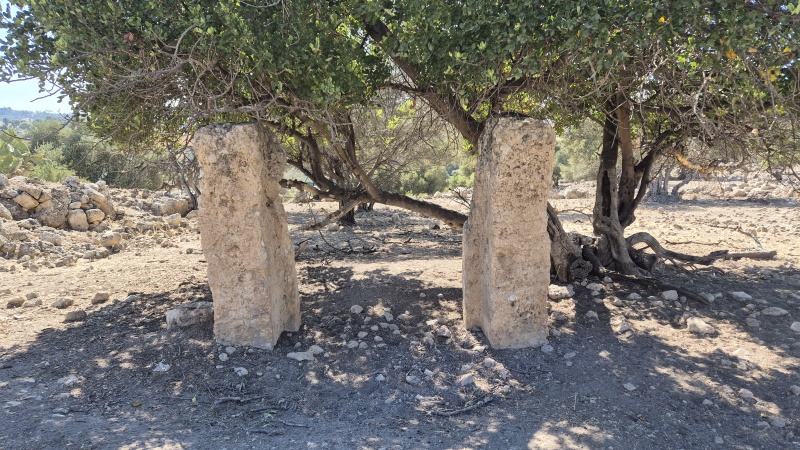 קובץ:2025-05-29T16 29 41.797279592016.jpg