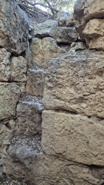 קובץ:2025-05-29T17 27 18.672011753682.jpg