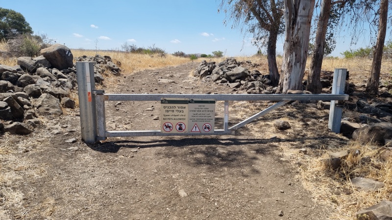 קובץ:2025-05-30T10 52 33.406175861.jpg