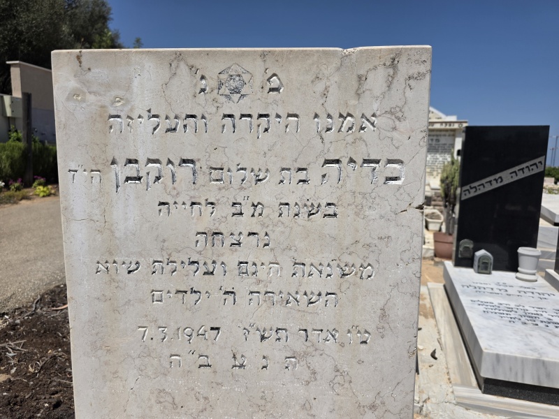 קובץ:2025-05-30T10 54 53.757945909535.jpg
