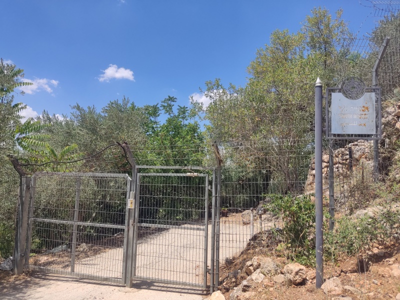 קובץ:2025-05-30T13 22 41.889254248915.jpg