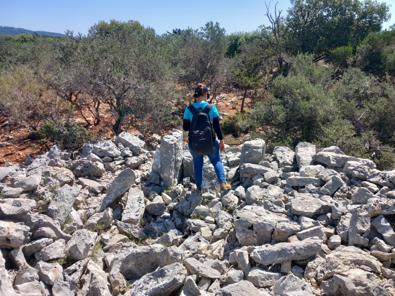 קובץ:2025-05-31T10 03 00.724631415500.jpg