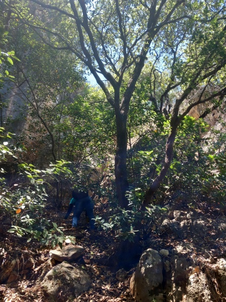 קובץ:2025-05-31T12 10 05.554327492031.jpg