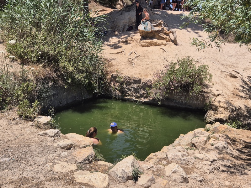 קובץ:2025-05-31T12 18 57.407569397245.jpg