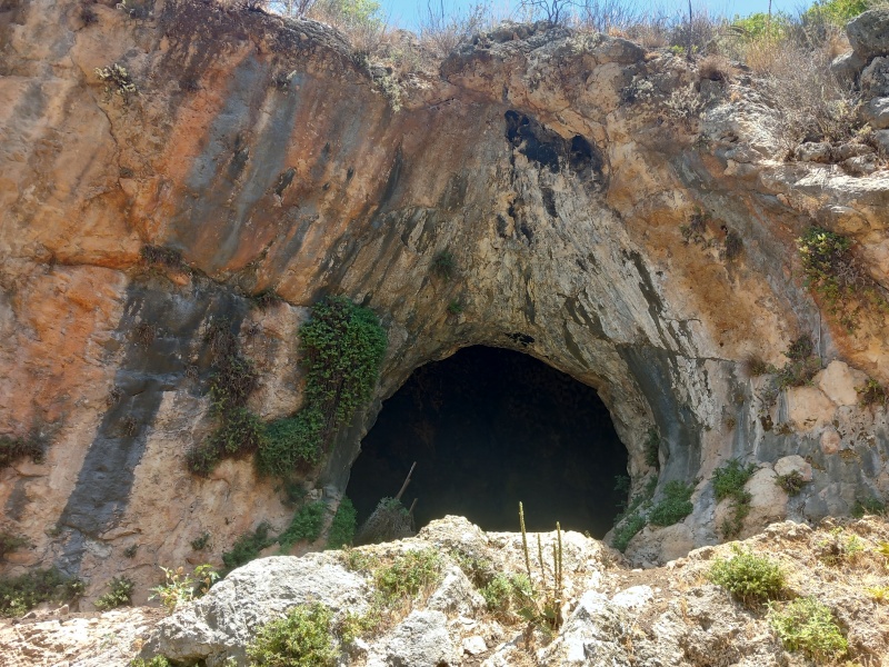 קובץ:2025-05-31T12 23 06.108561296552.jpg