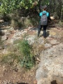 תמונה ממוזערת לגרסה מתאריך 06:58, 1 ביוני 2025