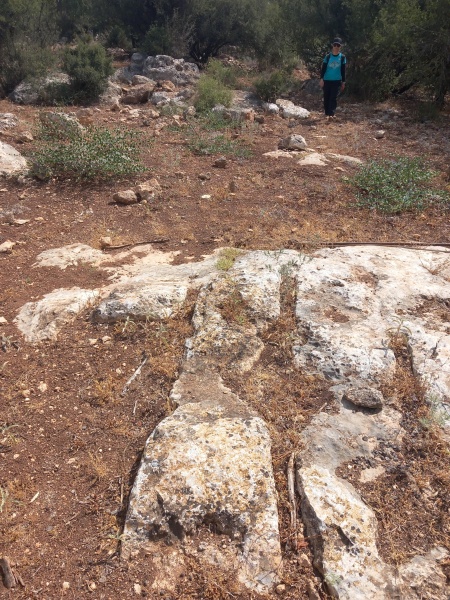 קובץ:2025-06-01T09 49 14.49192393211.jpg