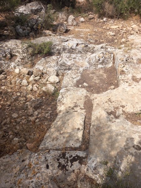 קובץ:2025-06-01T09 59 00.452561162352.jpg