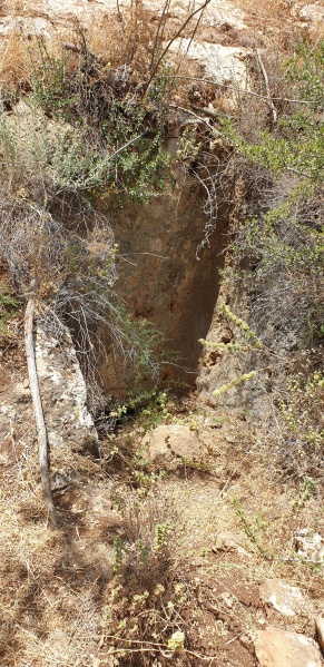 קובץ:2025-06-01T12 20 28.35592051041.jpg