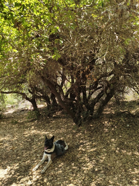 קובץ:2025-06-01T12 34 36.783568871745.jpg