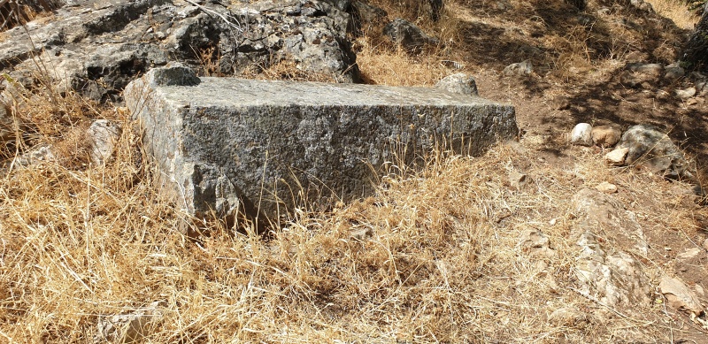קובץ:2025-06-01T14 21 26.660365656428.jpg