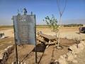 תמונה ממוזערת לגרסה מתאריך 11:00, 1 ביוני 2025