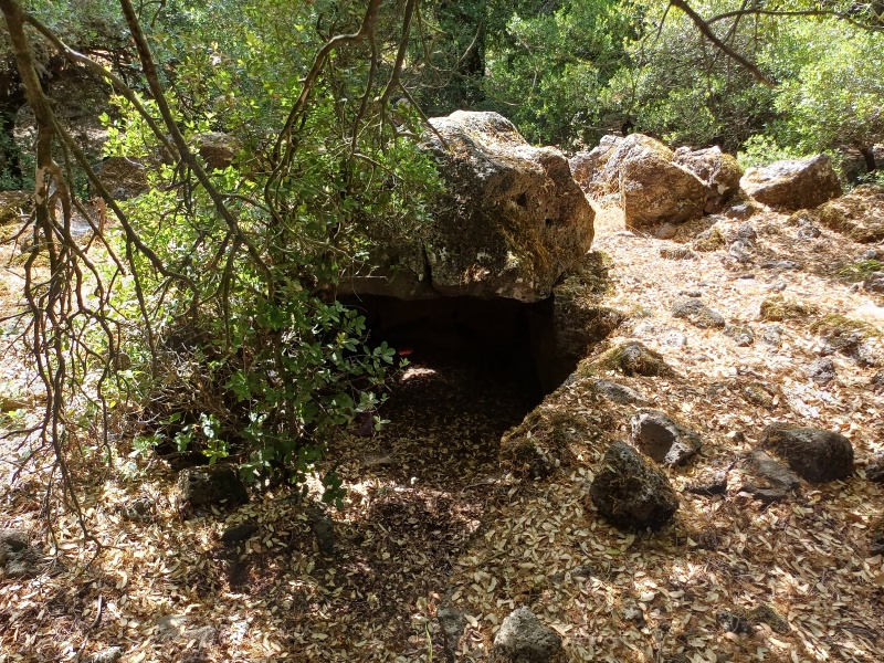 קובץ:2025-06-01T15 33 48.655004926130.jpg