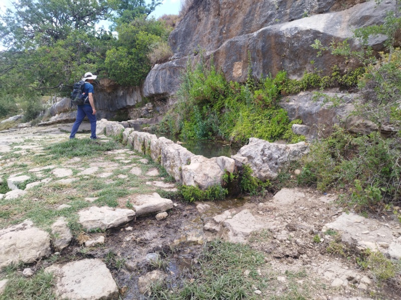 קובץ:2025-06-02T11 42 46.044928666947.jpg