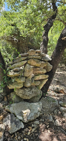 קובץ:2025-06-02T14 58 03.048031647300.jpg