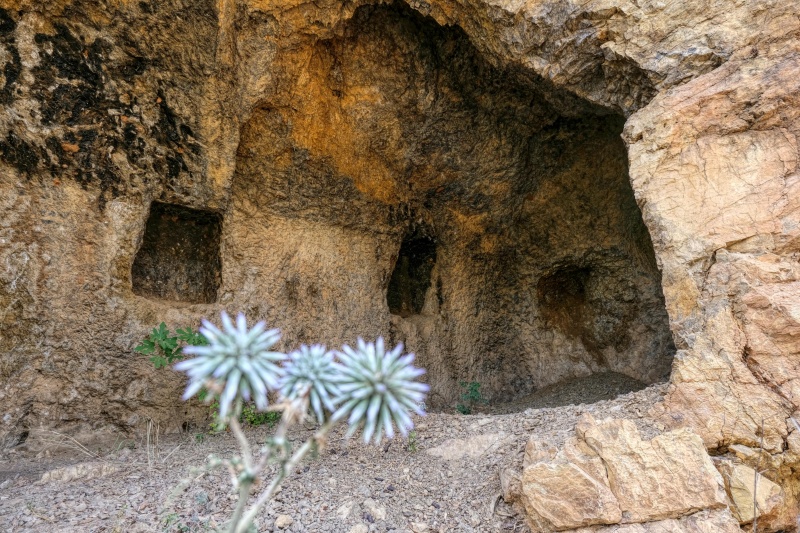קובץ:2025-06-02T20 20 42.146575476720.jpg
