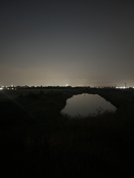 קובץ:2025-06-03T20 34 48.435662109390.jpg