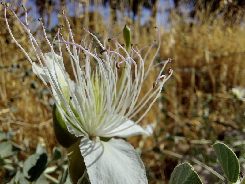 קובץ:2025-06-05T08 06 54.246768494689.jpg