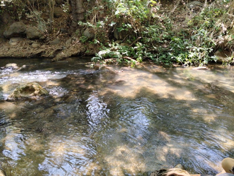 קובץ:2025-06-05T14 54 52.805180909815.jpg