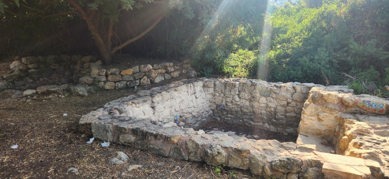 קובץ:2025-06-06T07 39 24.680231532404.jpg
