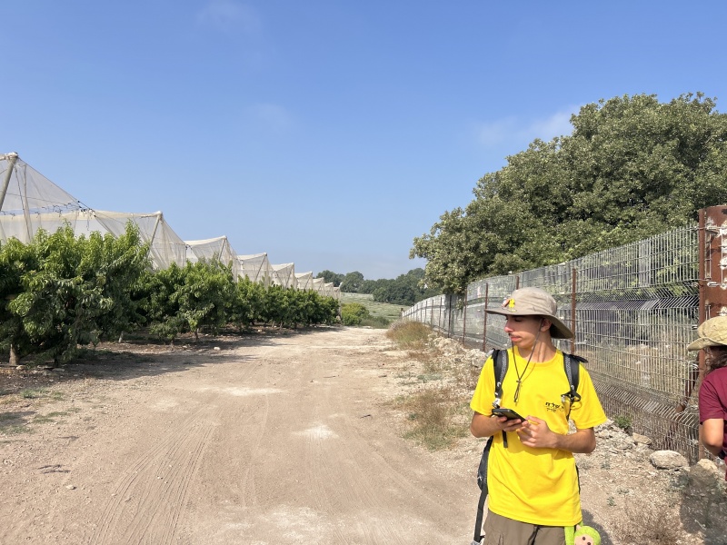 קובץ:2025-06-06T08 30 42.557315260894.jpg