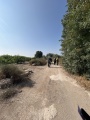 תמונה ממוזערת לגרסה מתאריך 05:44, 6 ביוני 2025