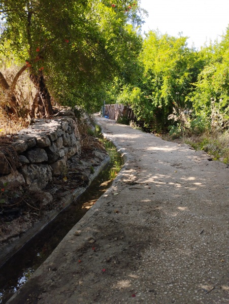 קובץ:2025-06-06T09 37 35.997486712186.jpg